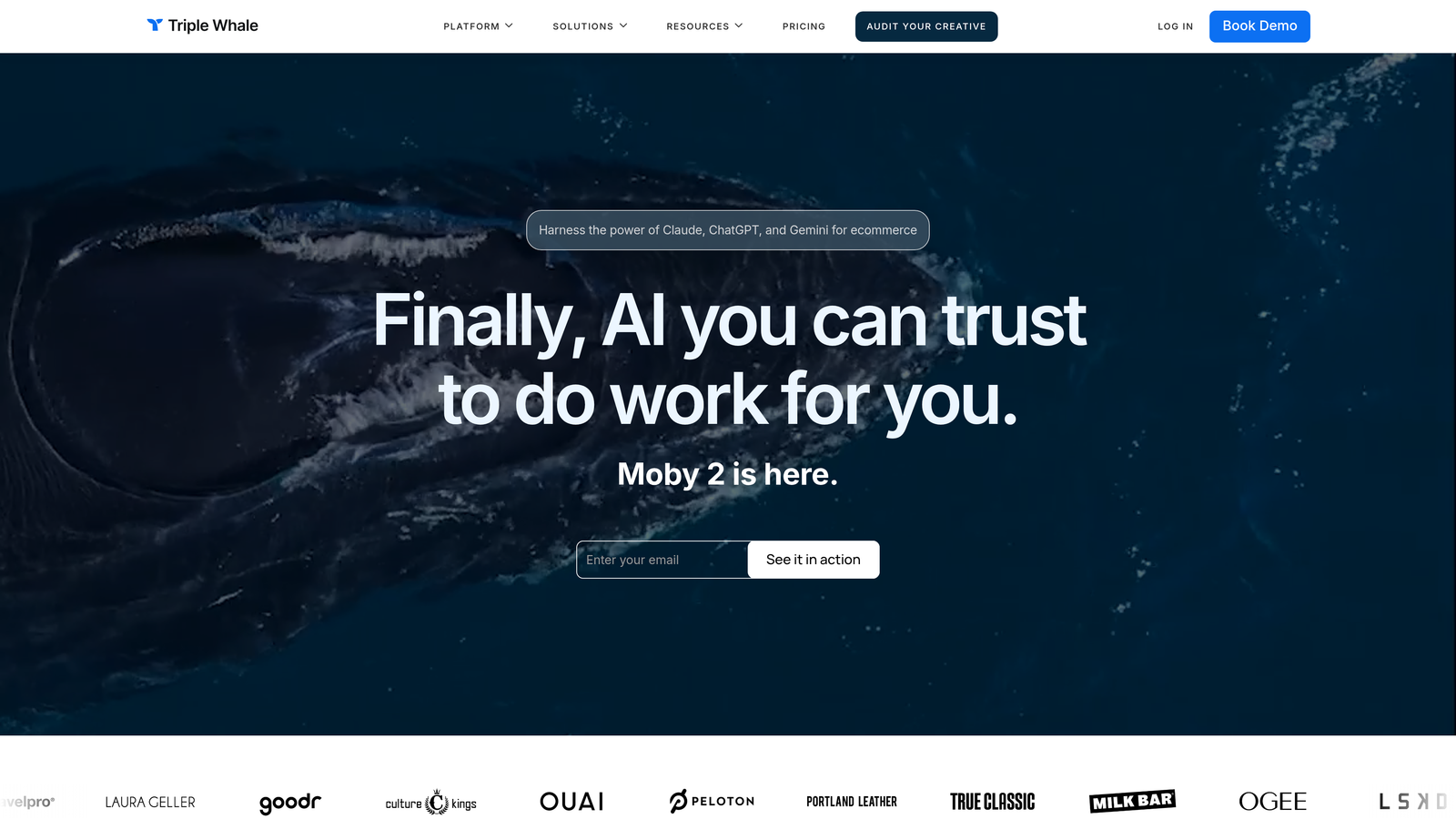 Screenshot of Triple Whale website