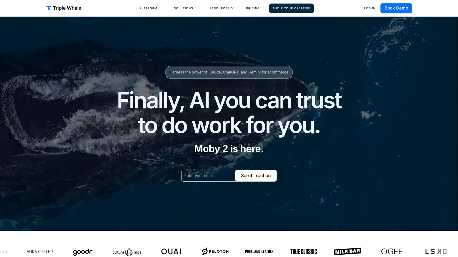Screenshot of Triple Whale website