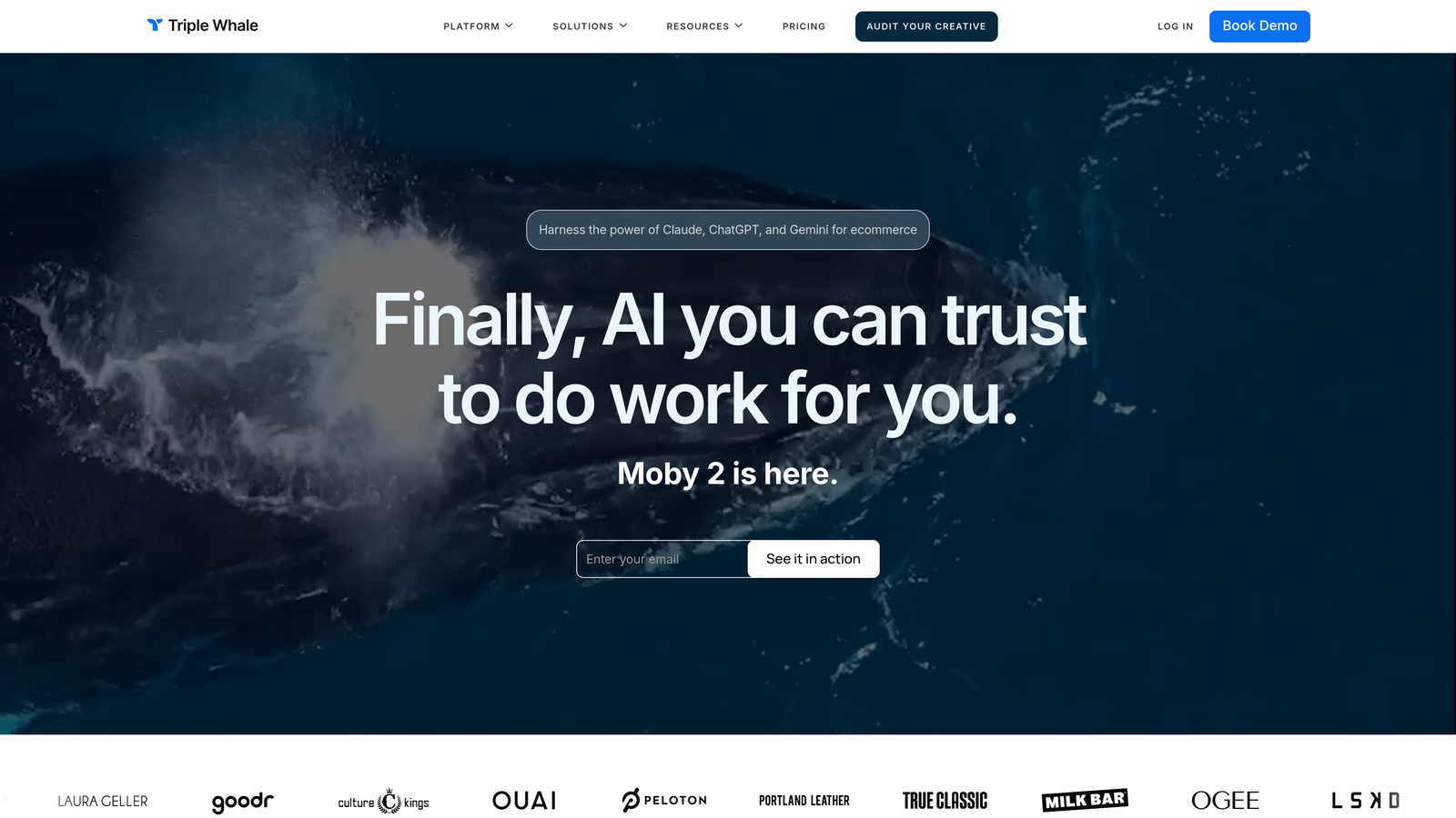 Screenshot of Triple Whale website
