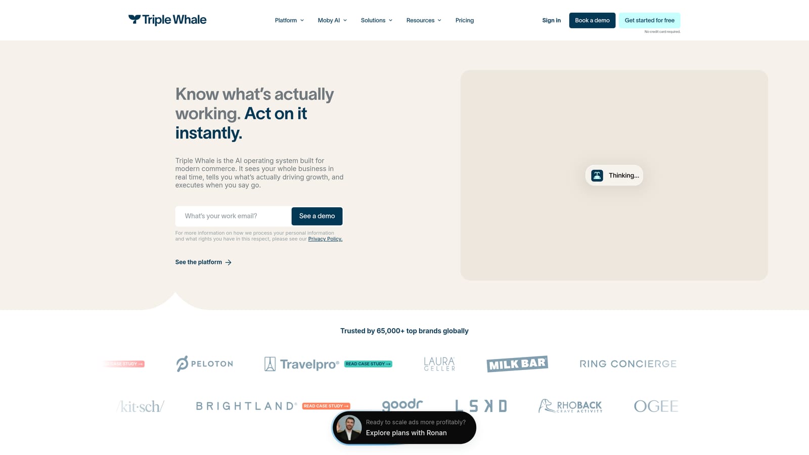 Screenshot of Triple Whale website