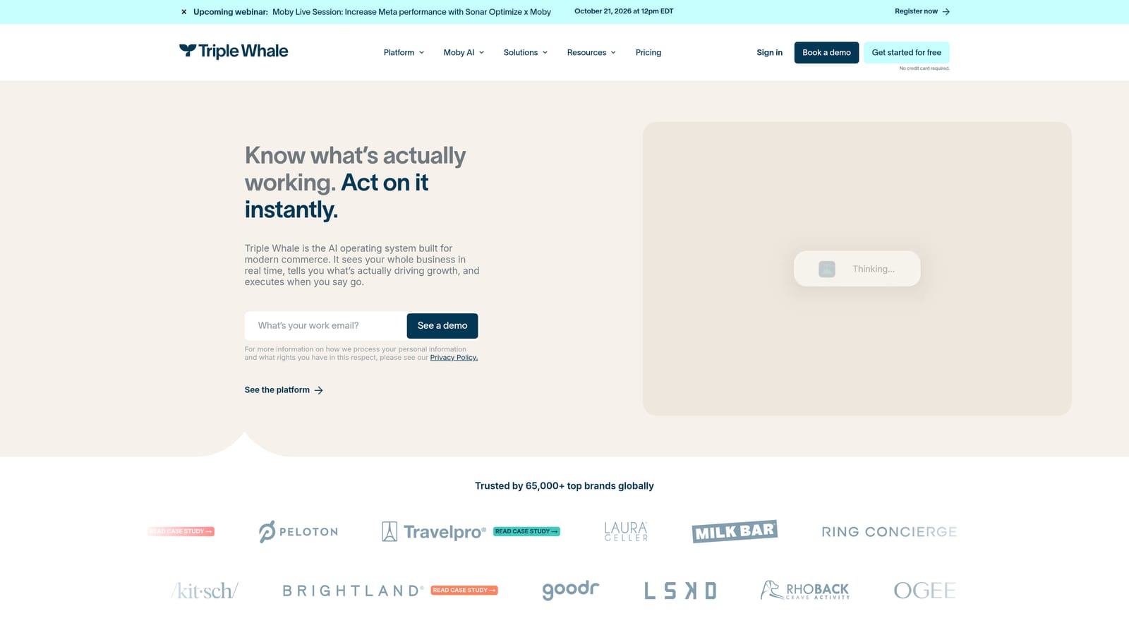 Screenshot of Triple Whale website