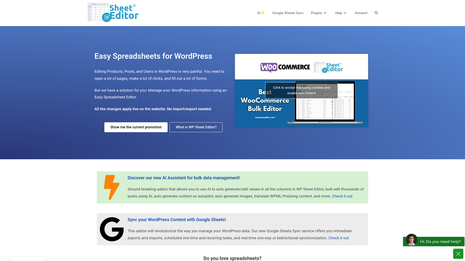 Screenshot of WP Sheet Editor website