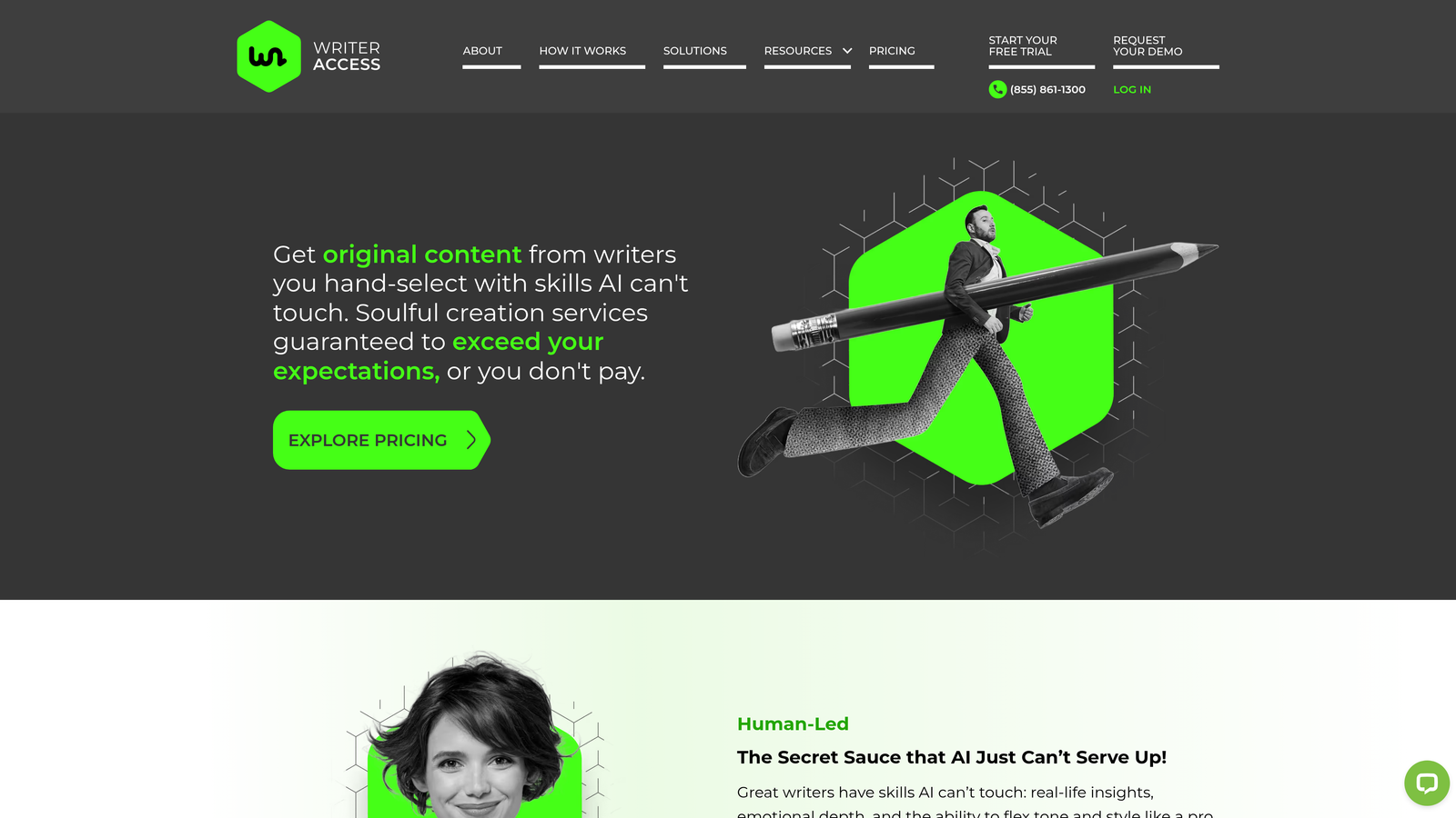 Screenshot of WriterAccess website