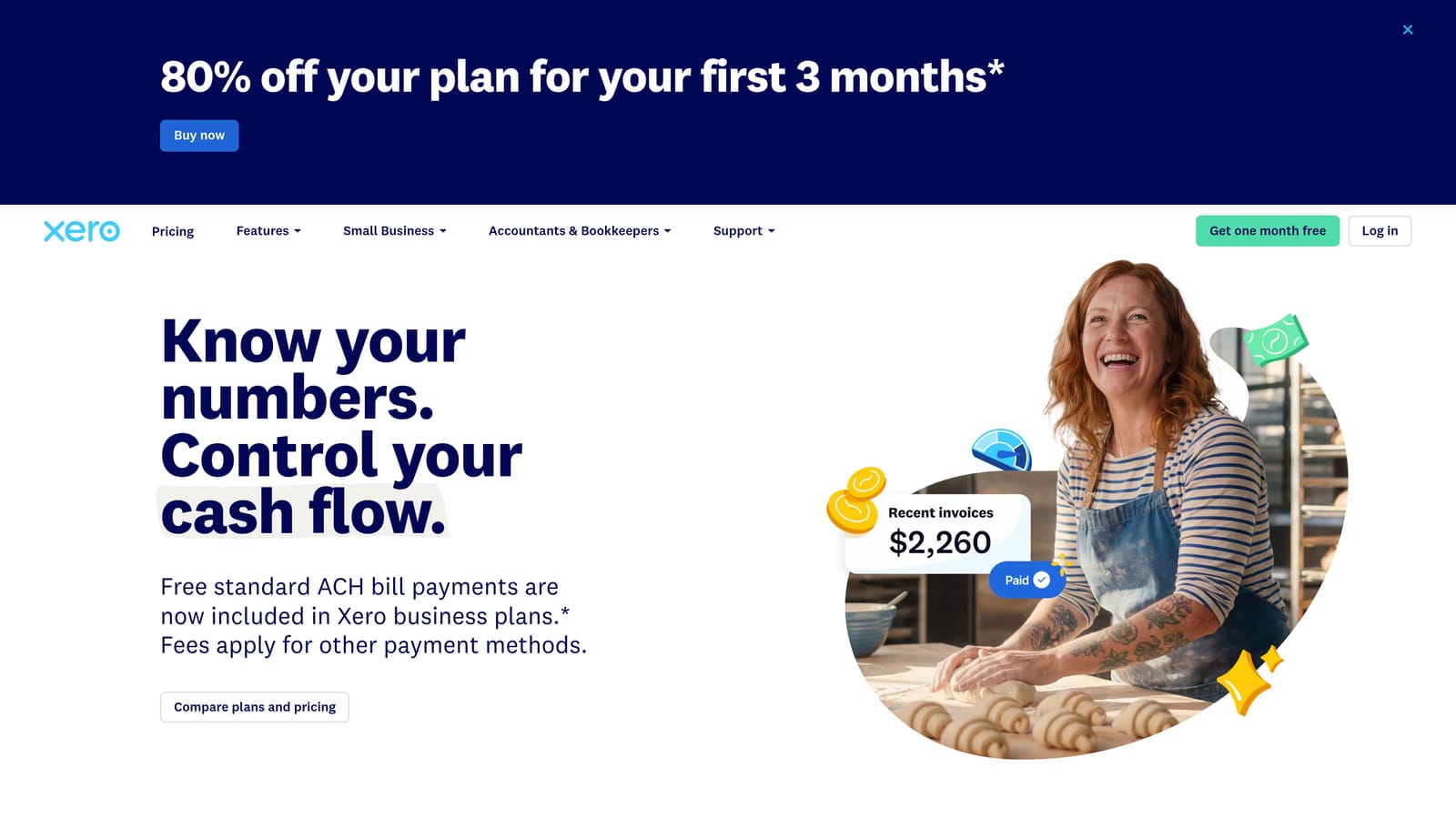Screenshot of Xero website