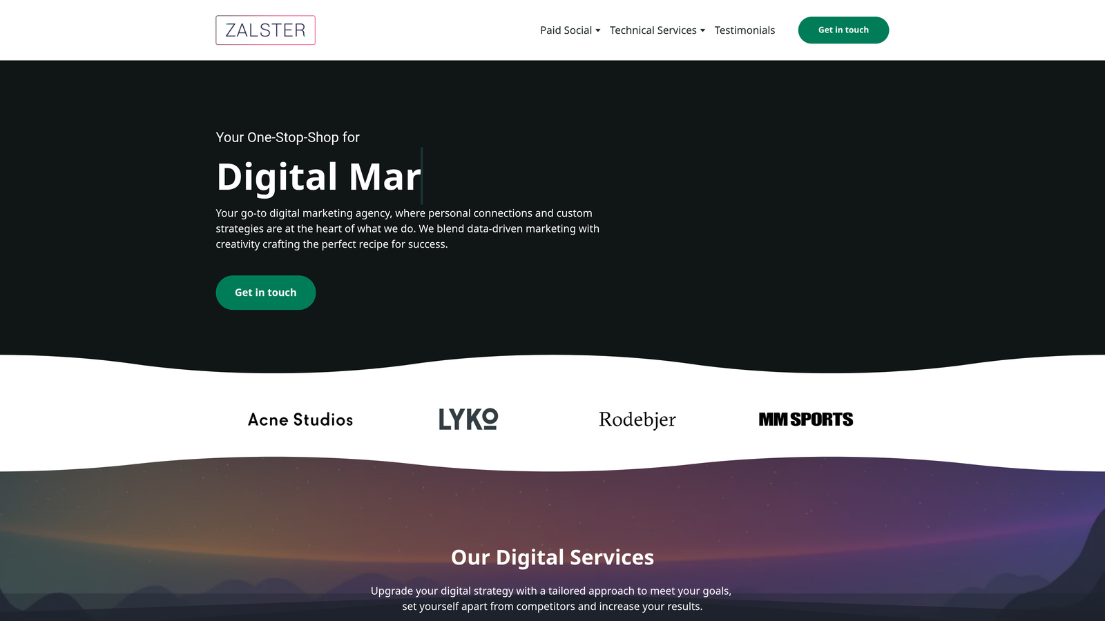 Screenshot of Zalster website